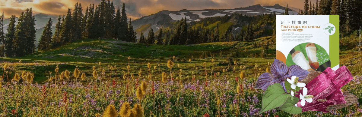 Пластырь BangDeLi